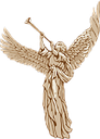 angel grouplife angel grouplife
