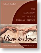 BorntoServe cover