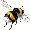 bee 100