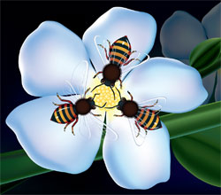 bees   blog logo